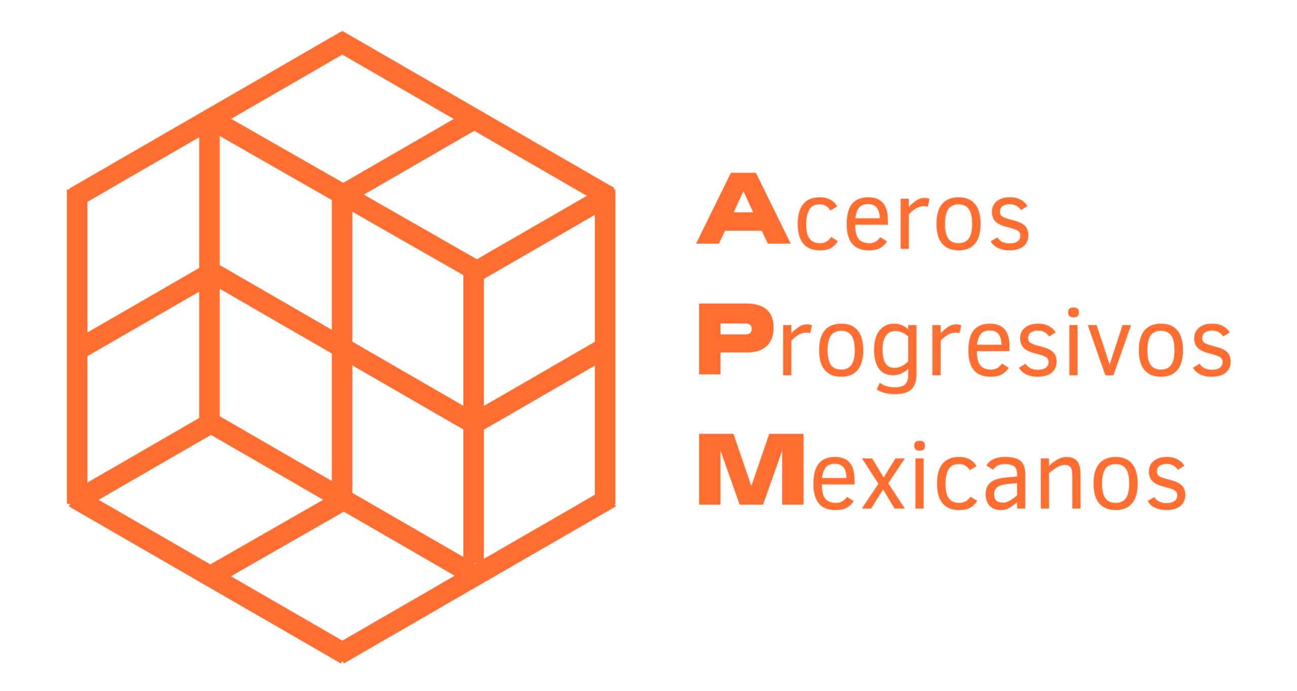 Logo APM 2